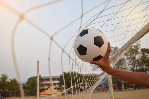 亚美体育平台APP界面预览