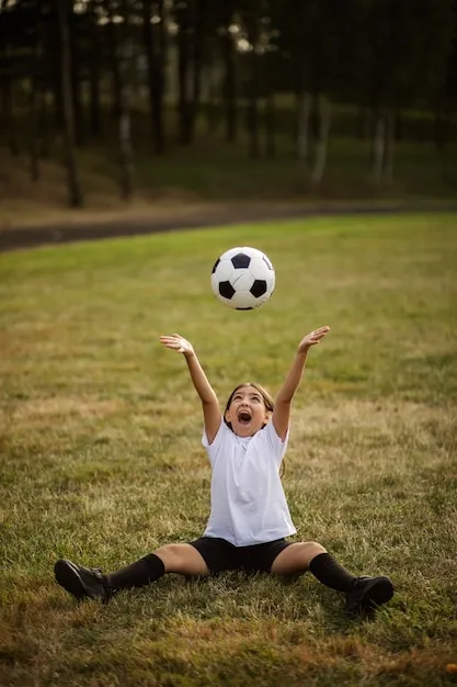 亚美体育平台 海报